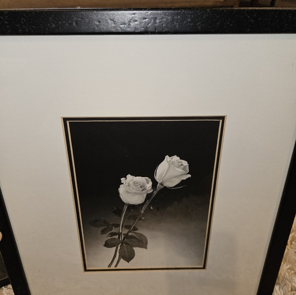 3 black and white framed flower pictures - Picture 12 of 12